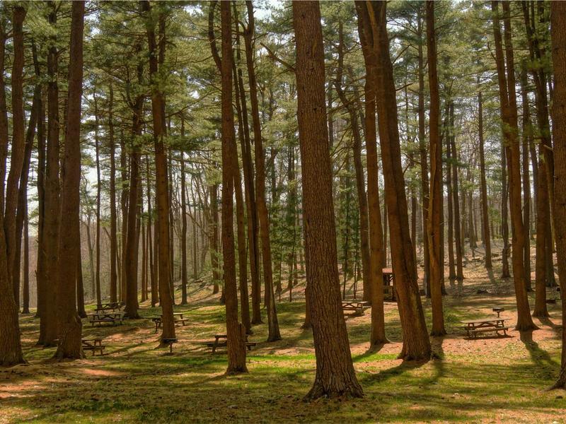 sudoku solution check screenshot 4