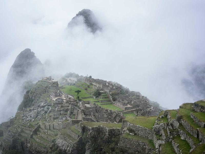 sudoku even odd sudoku screenshot 5