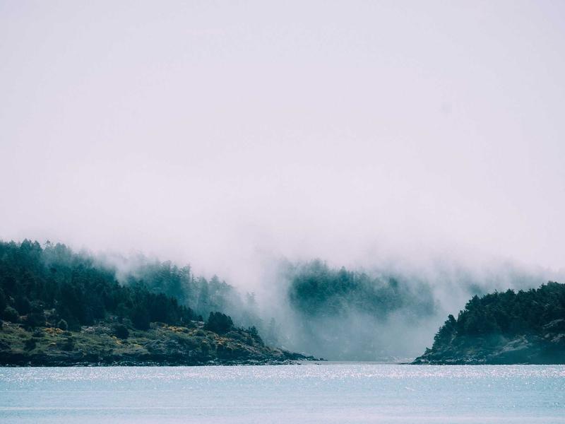 sudoku even odd sudoku screenshot 1