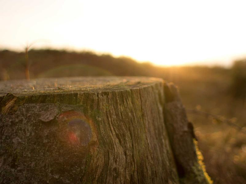 partners screenshot 3